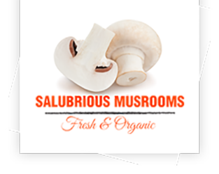 Salubrious Mushroom